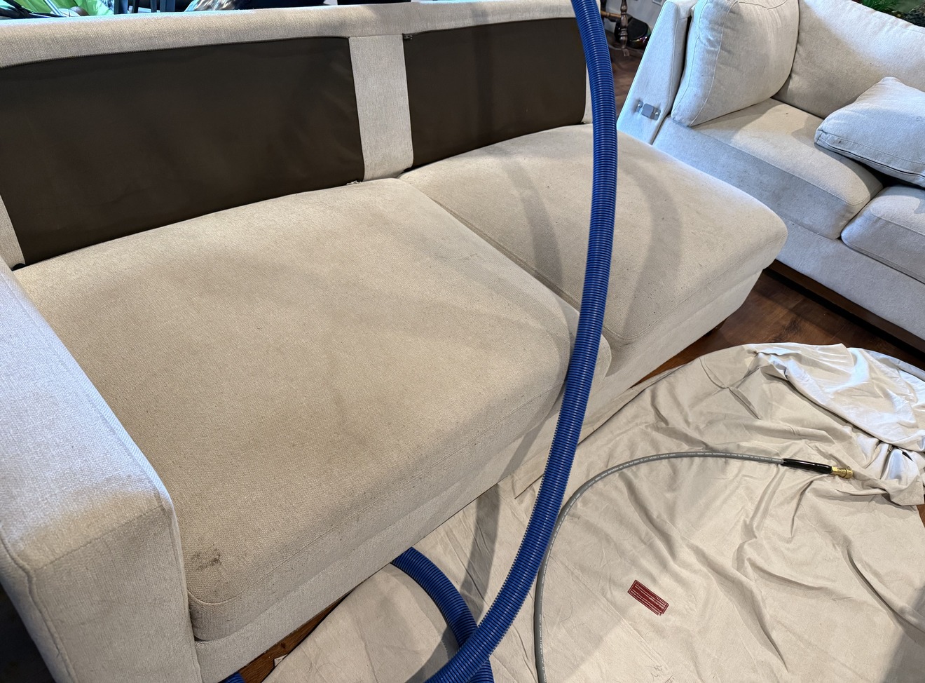 Steam E600 Ninja extractor hose on sofa seat during professional upholstery cleaning, second sofa visible in background