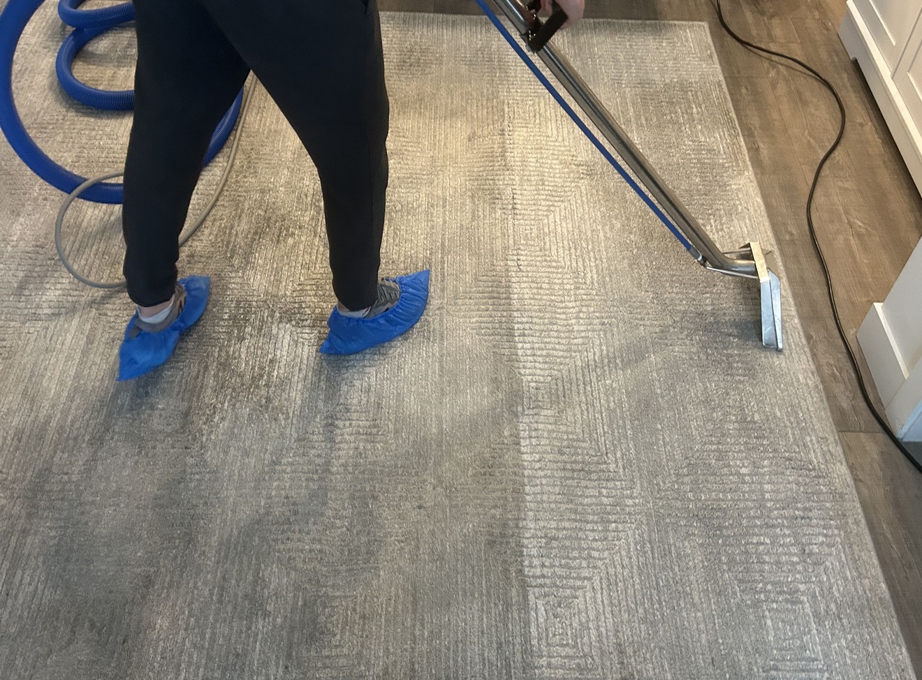 Hot water extraction in progress on synthetic rug using Ninja 500 extractor in Kelowna