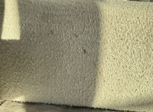 Cream bouclé sofa cushion with brown stains before professional upholstery cleaning in KelownaCream bouclé sofa cushion with brown stains before professional upholstery cleaning in Kelowna